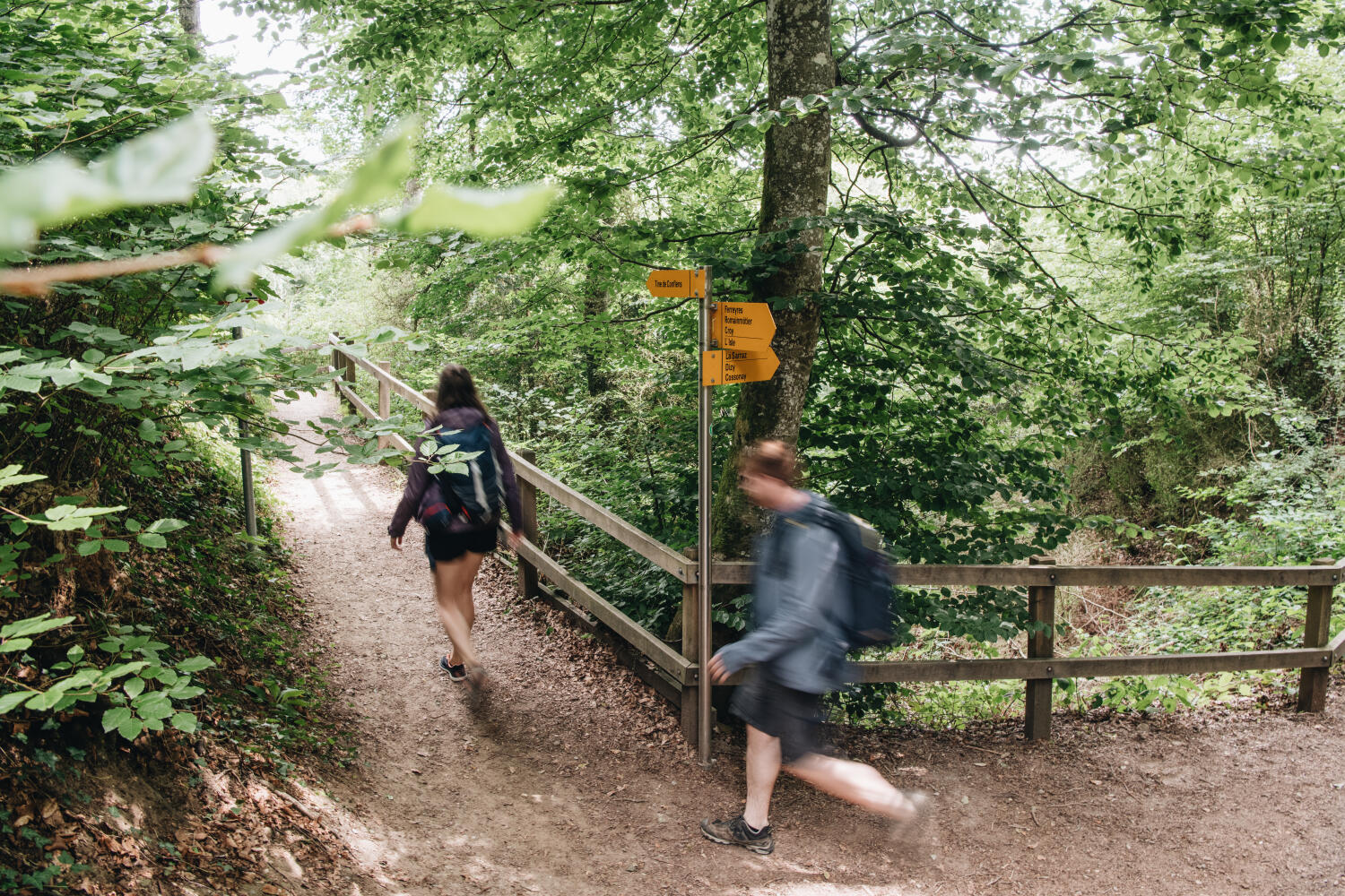 La Tine de Conflens