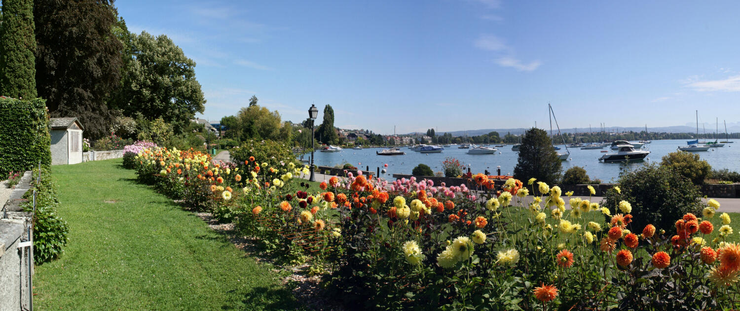 Fête du Dahlia