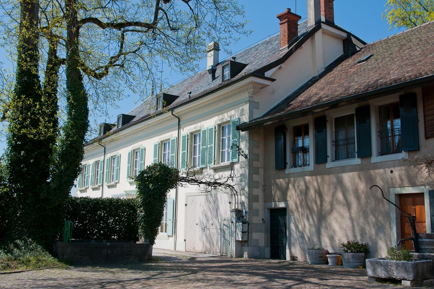 Les vins de la maison Bolle