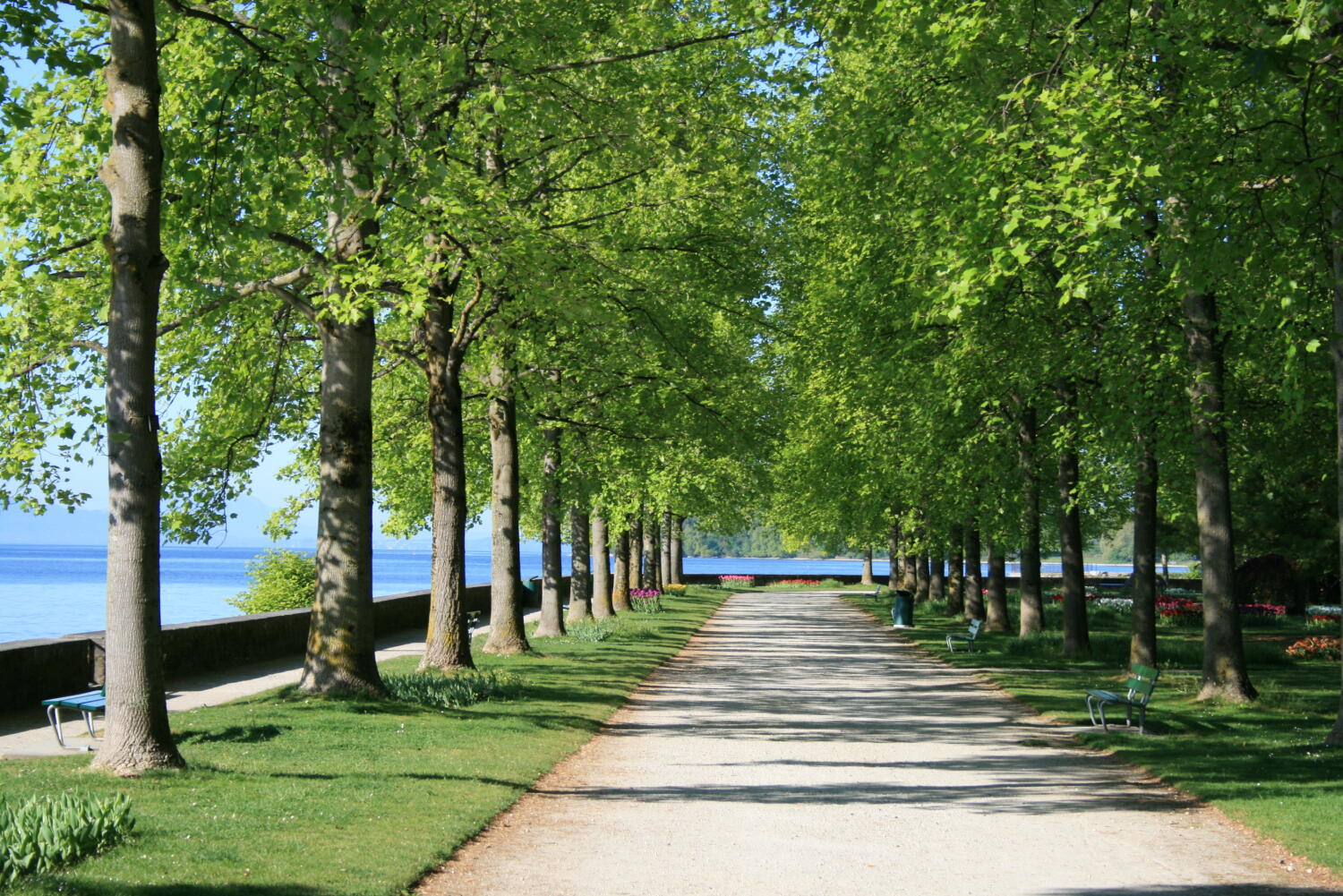 Parc de l’Indépendance