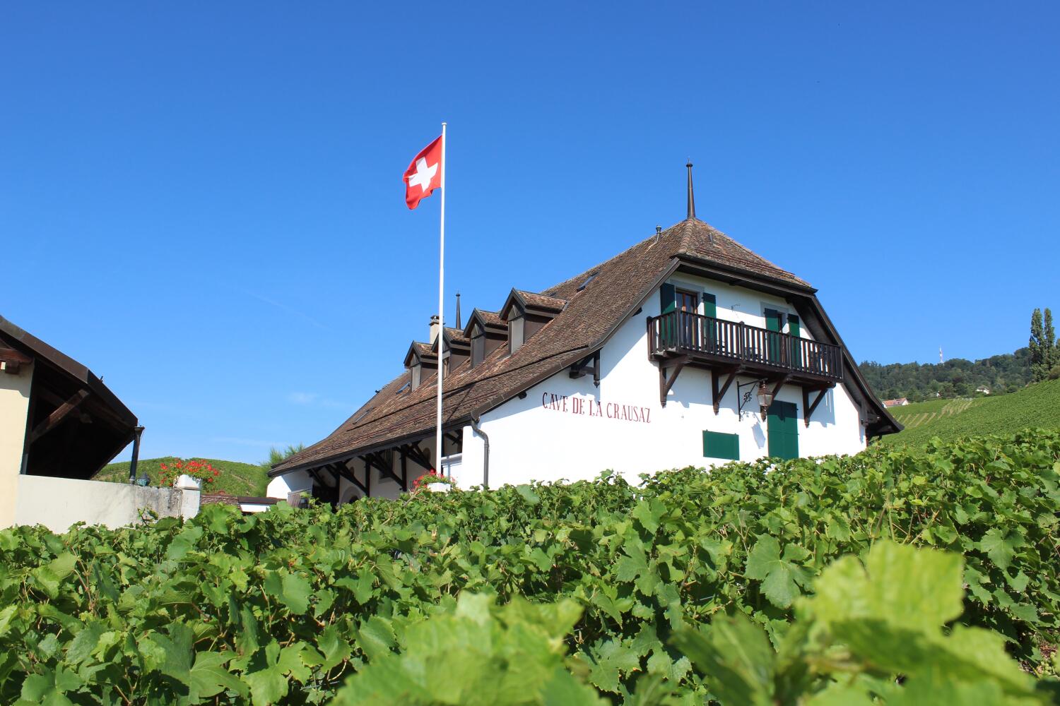 Cave de la Crausaz et du Vieux Coteau