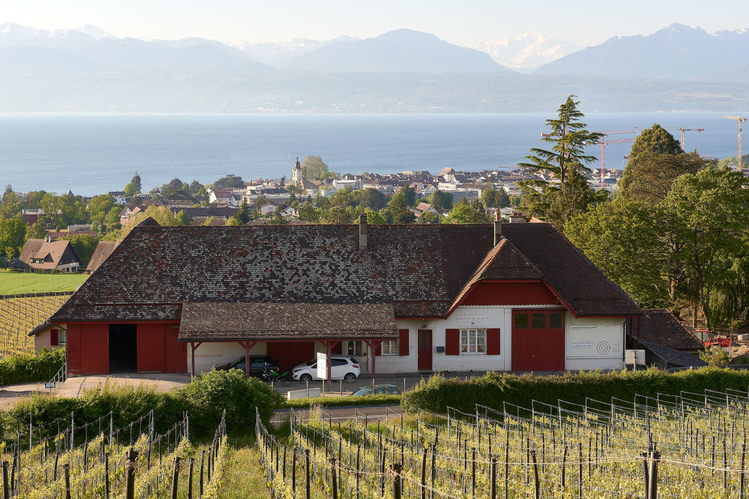 Domaine Les Trois Terres