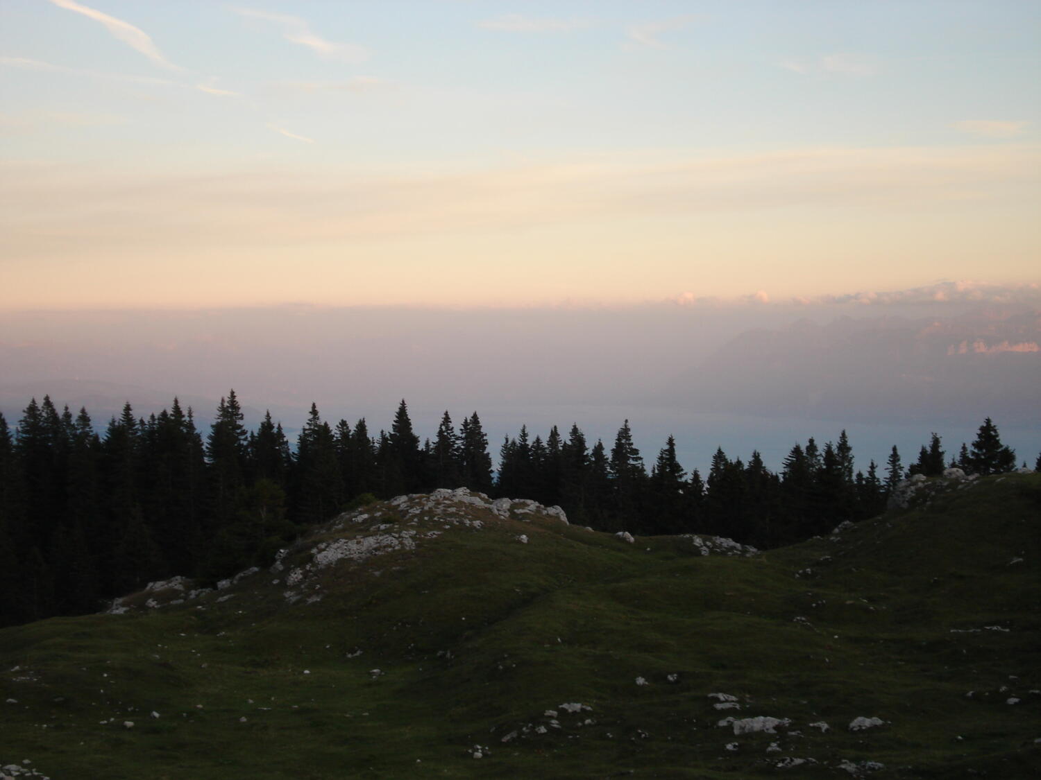 Buvette du Mont Tendre