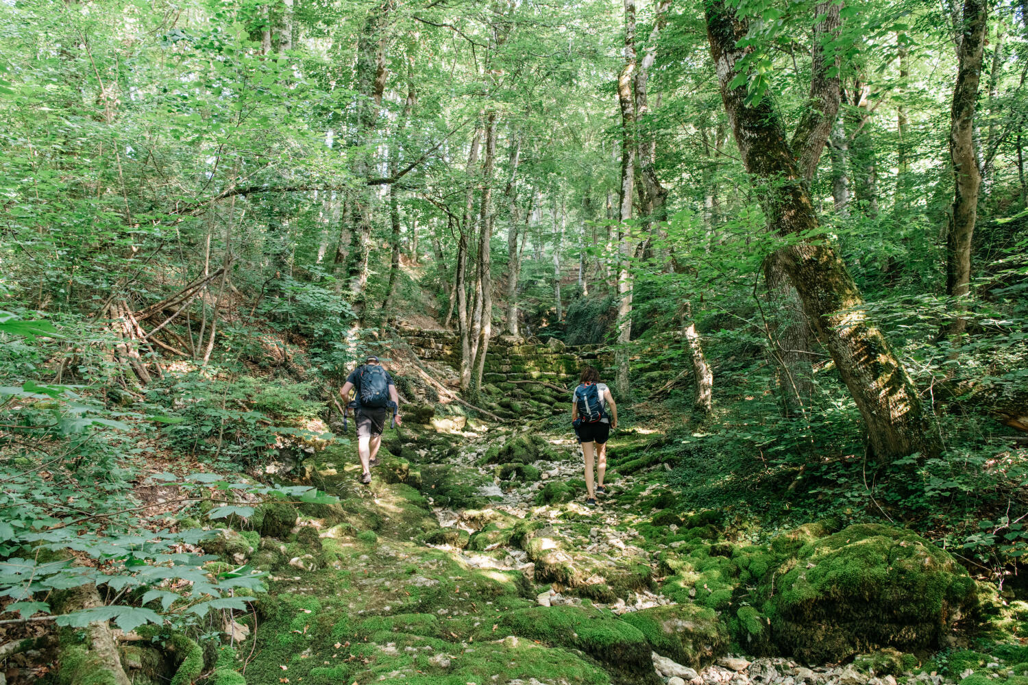 L’Isle – Sources de la Venoge