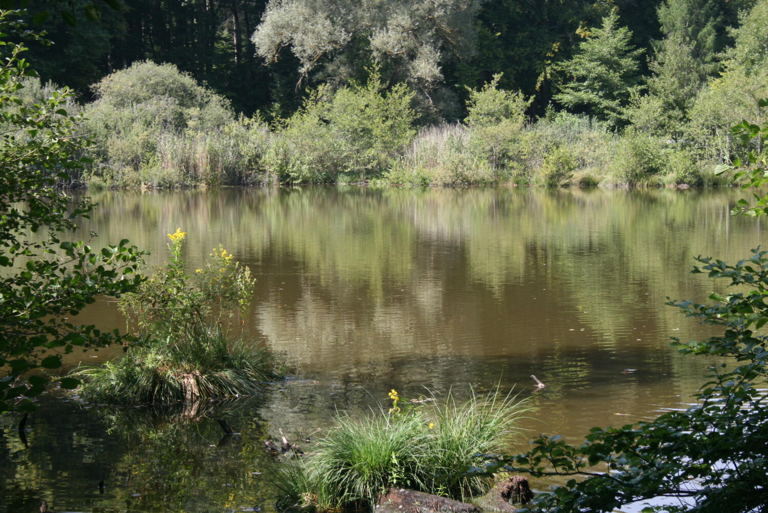 Le Marais des Monod