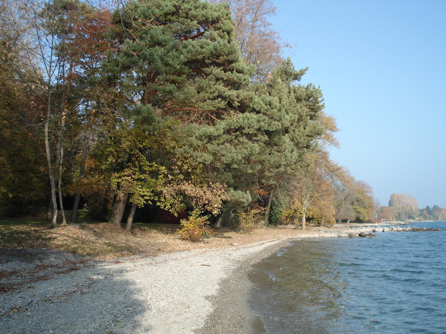 Plage Les Mellières