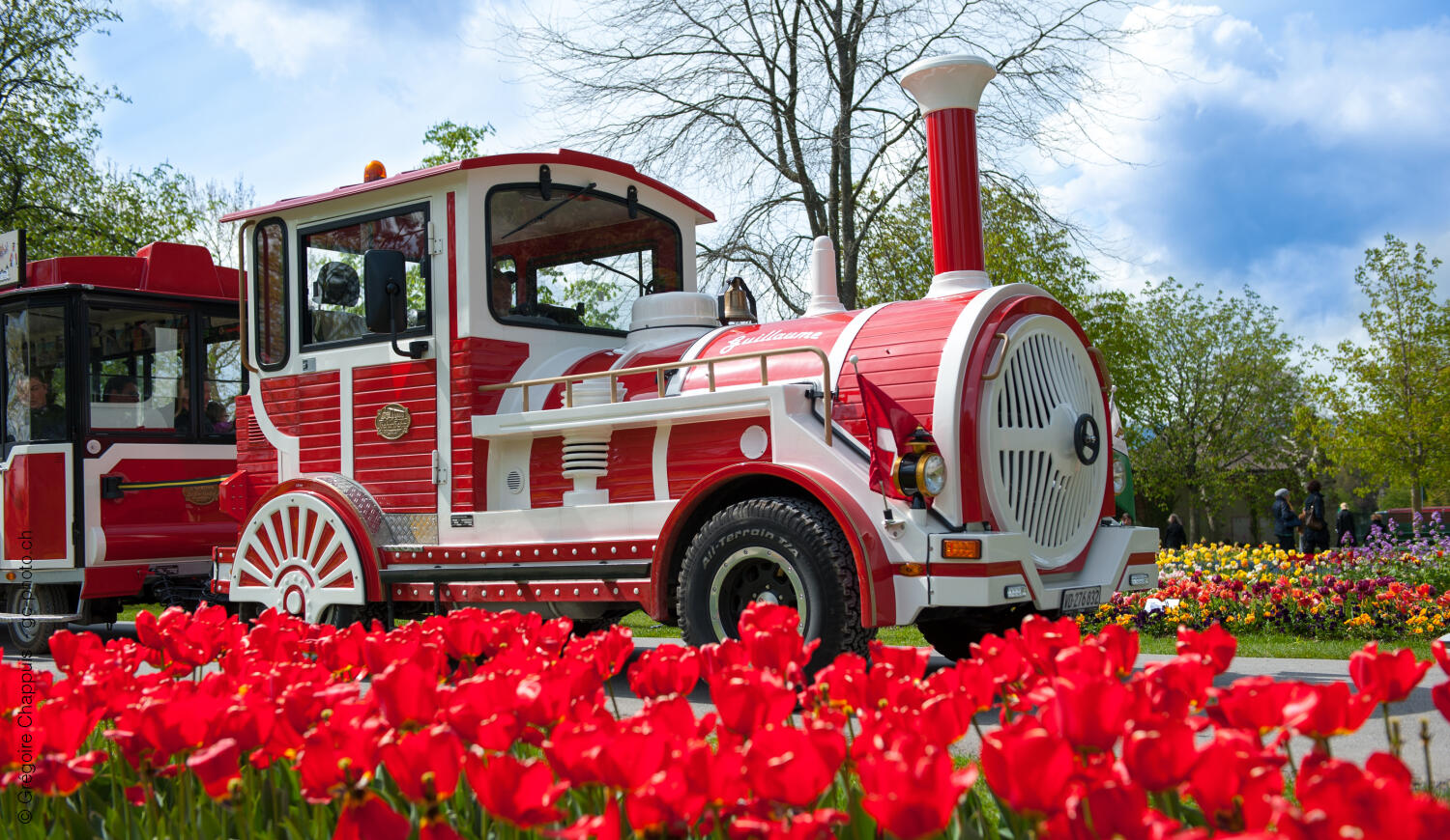 Location du Petit Train touristique
