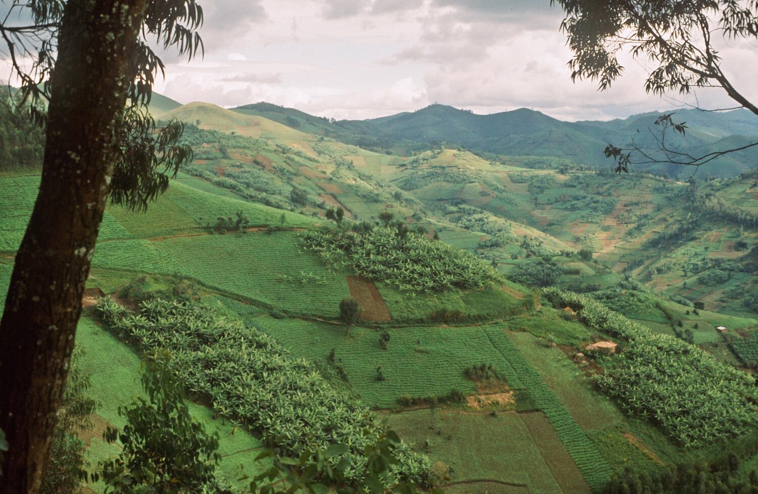 Road Trip – Afrique 1973