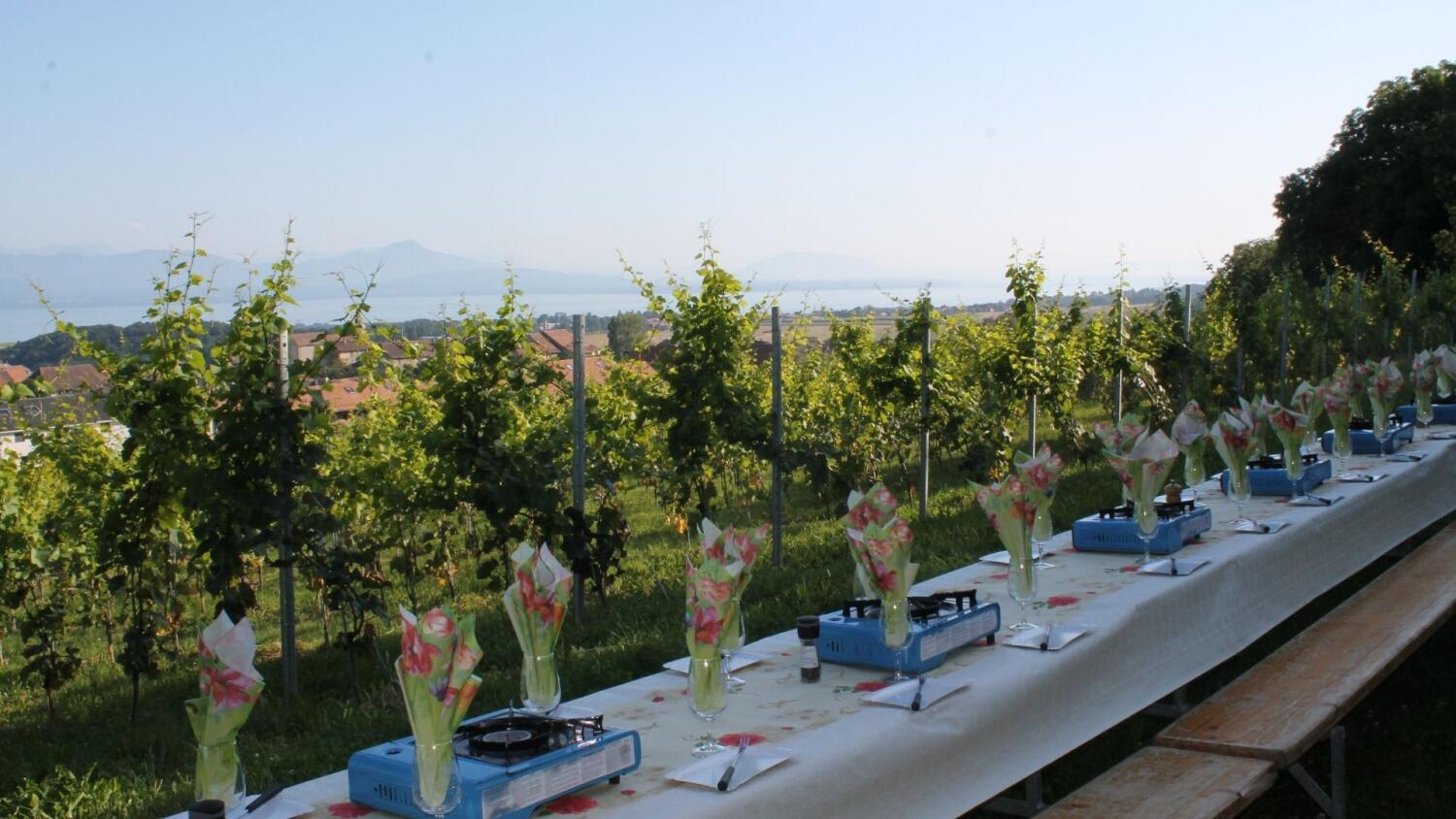 «Tavolata-Fondue» dans le vignoble au crépuscule!
