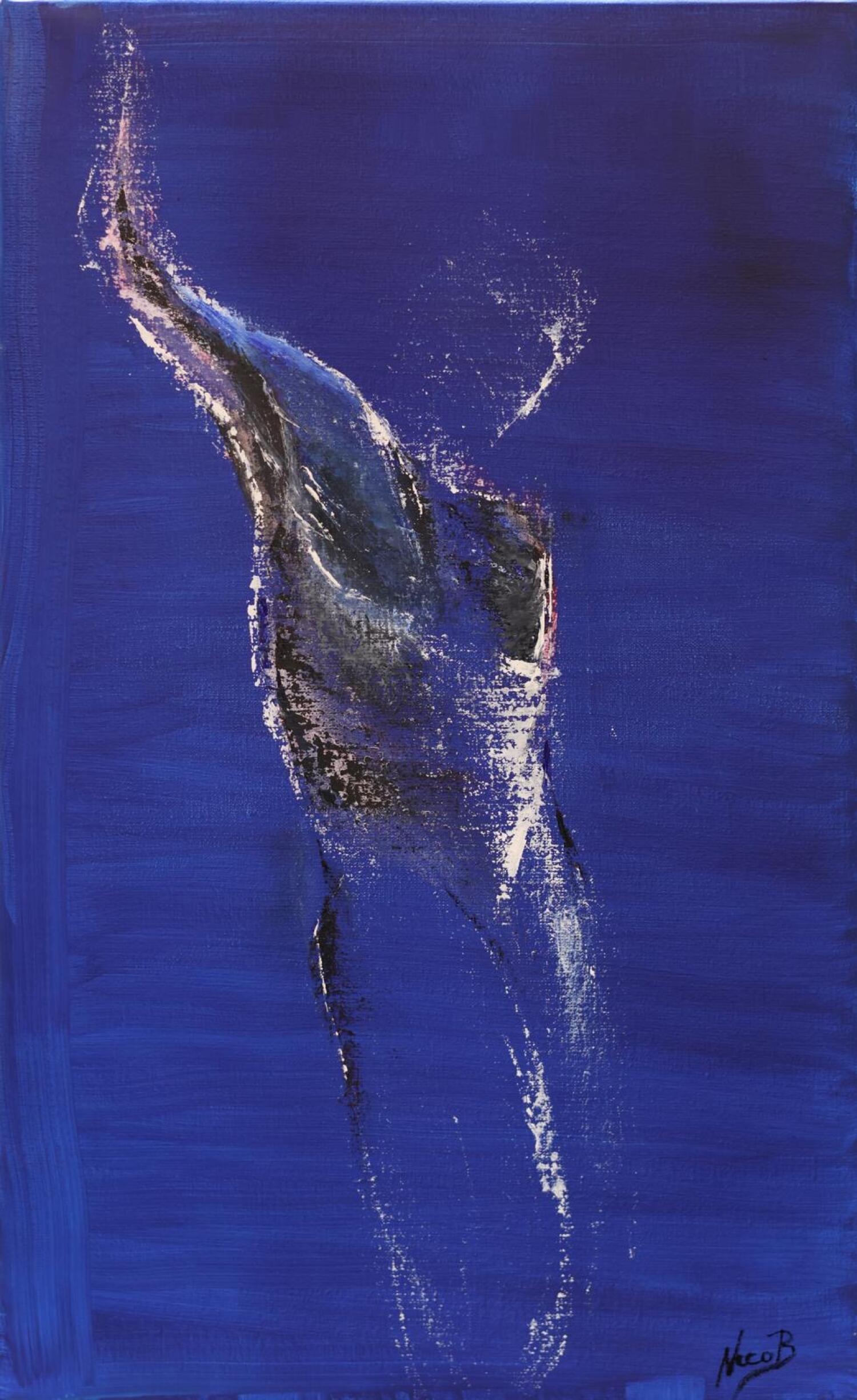 Exposition “Les yeux de la terre”