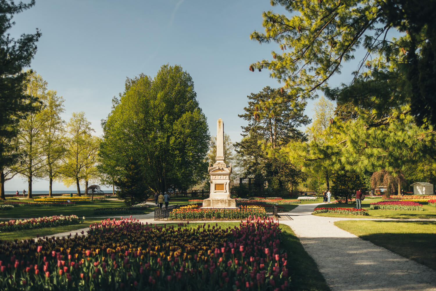 Le Grand Voyage de la Tulipe