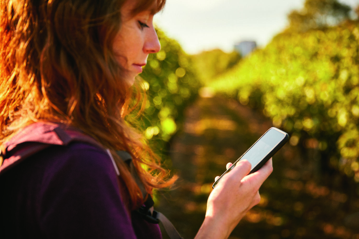 Application « Morges : Guide »