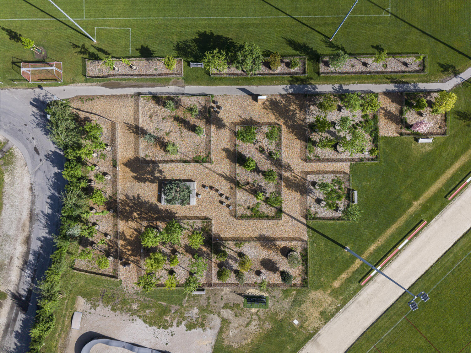 Balade des arbres à Morges guidée par Pierre Corajoud