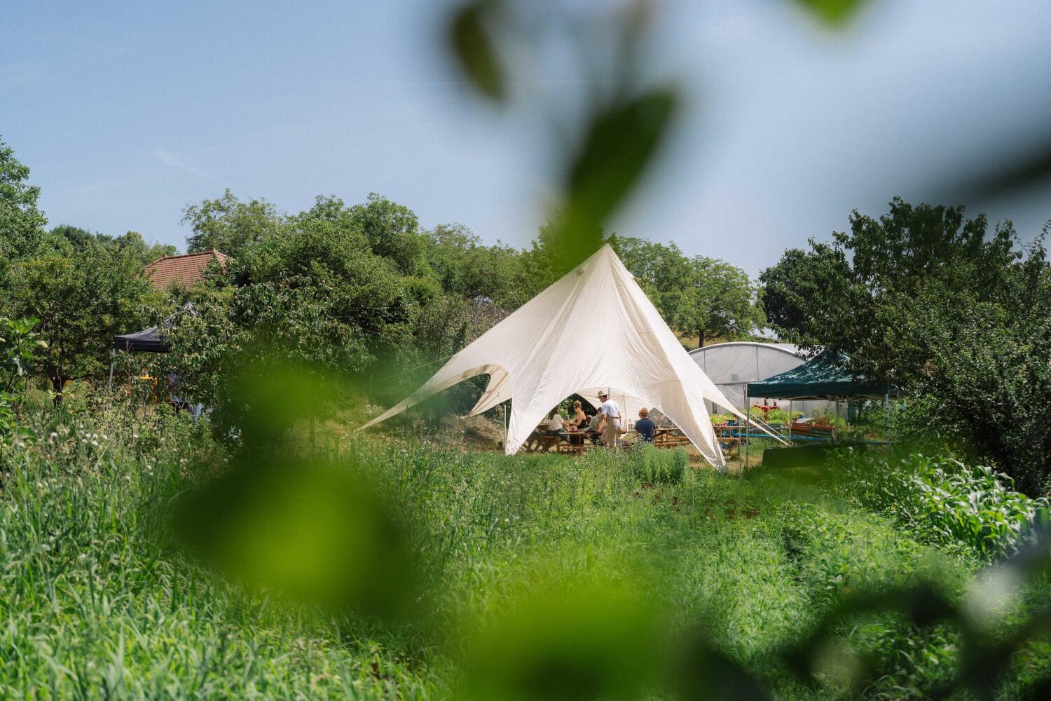 Festival Végétal