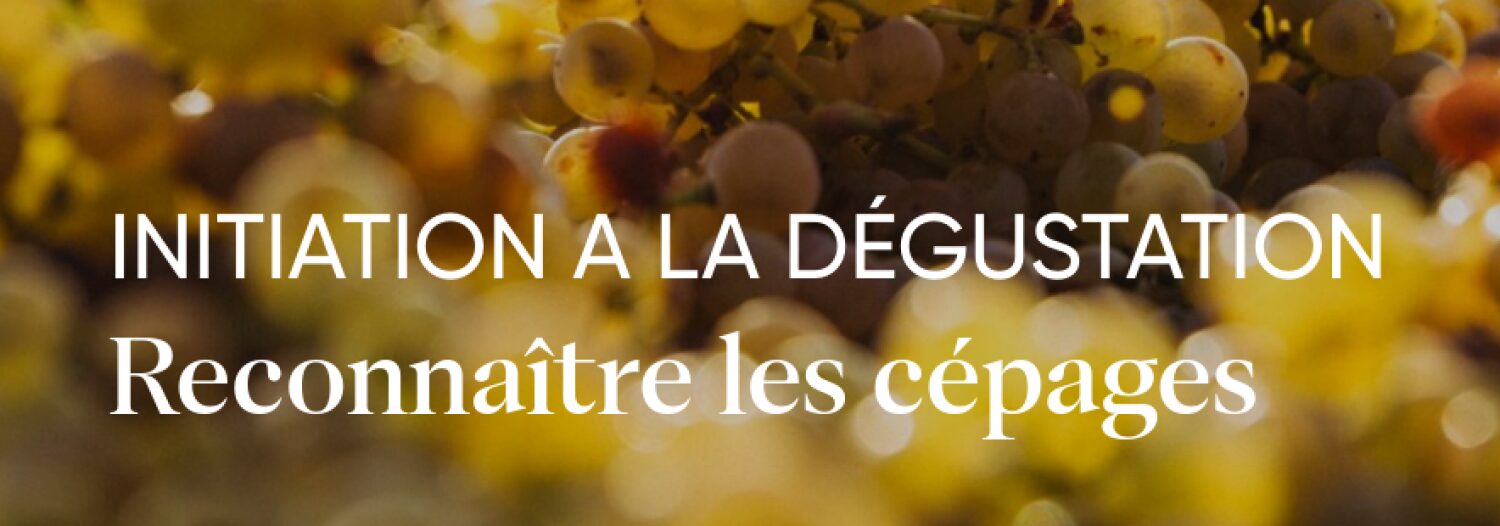 Initiation à la dégustation: reconnaître les cépages