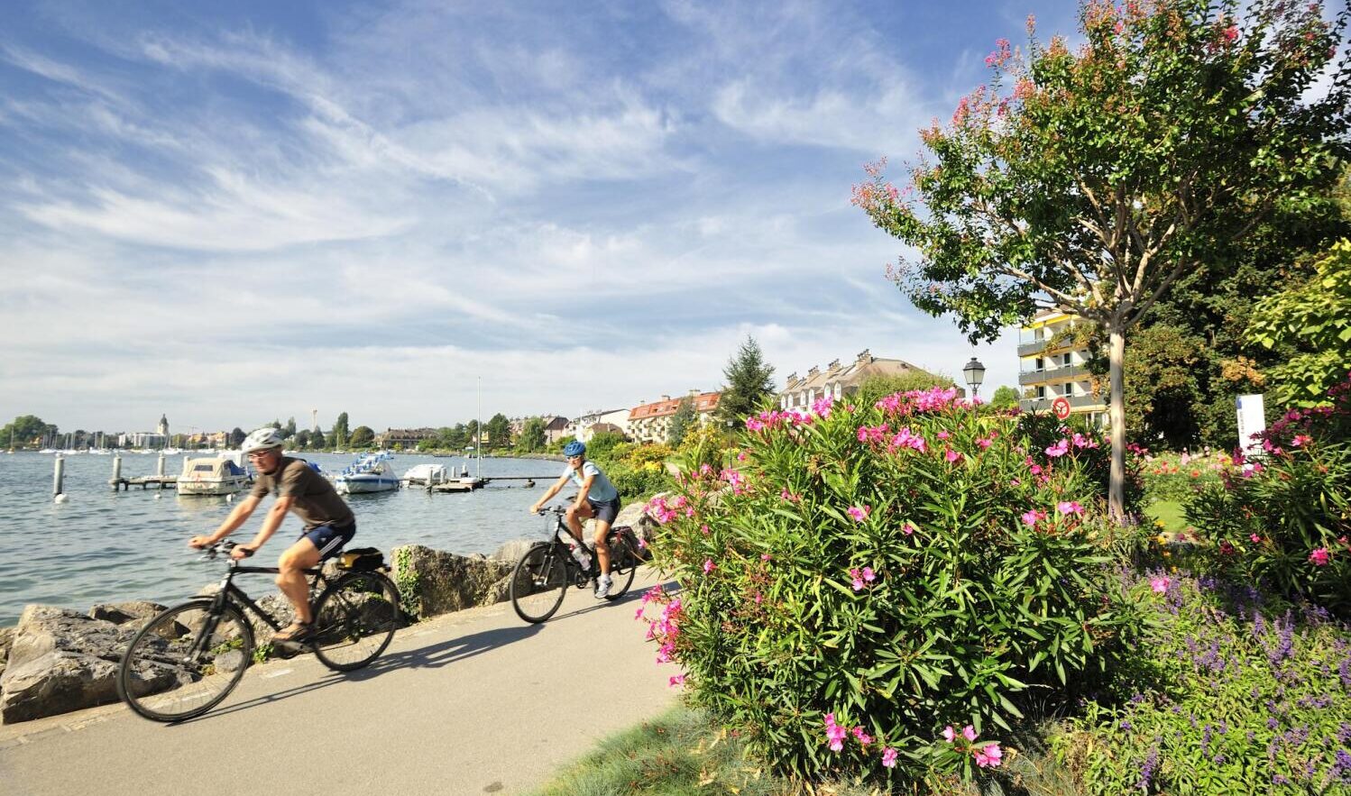 Cyclistes à vélo sur une promenade au bord du lac, avec des fleurs roses et le paysage lacustre en arrière-plan.