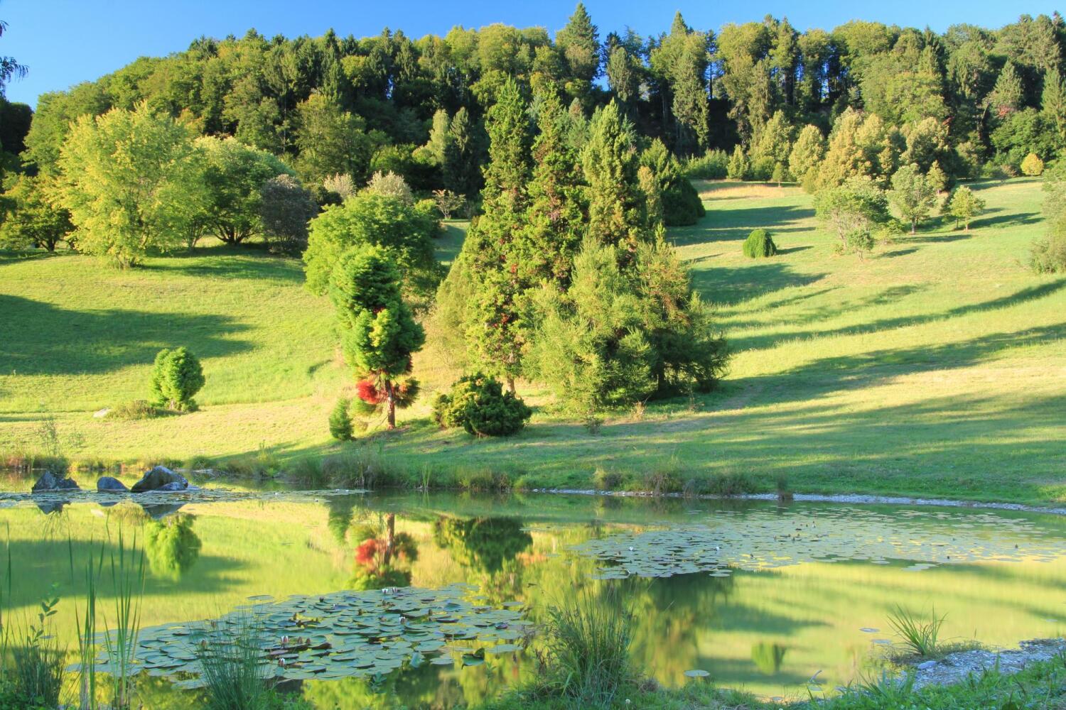 Parcs, jardins &amp; forêts