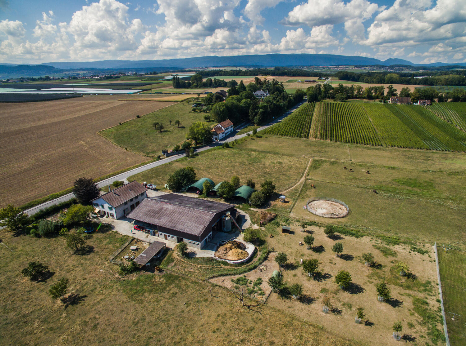 Visite de la Ferme des Morand